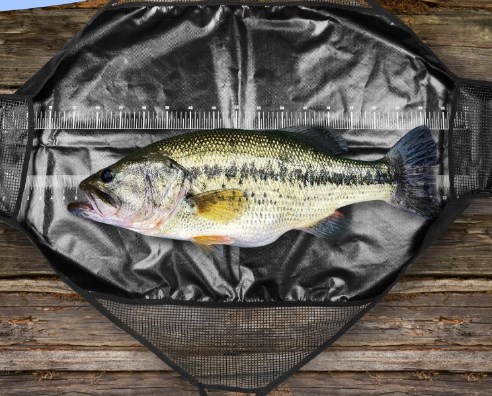 Difoto Memancing Melepas Kait  - Fishing Belt ulasan dan harga